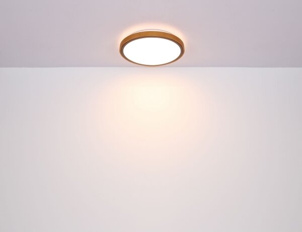 Globo 41766-24 - Plafoniera LED SAMMI LED/24W/230V 3000/4500/6000K