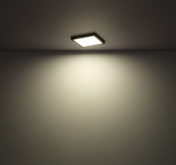 Globo 12380-18W - Plafoniera LED LASSE LED/18W/230V 3000/4000/6500K bianco