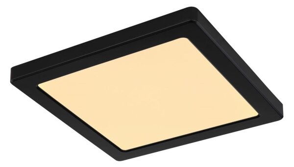 Globo 12380-18B - Plafoniera LED LASSE LED/18W/230V 3000/4000/6500K nero