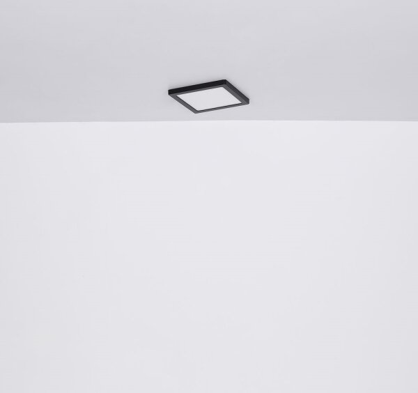 Globo 12380-24B - Plafoniera LED LASSE LED/24W/230V 3000/4000/6500K nero