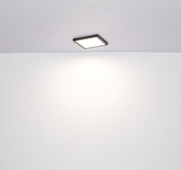 Globo 12380-24B - Plafoniera LED LASSE LED/24W/230V 3000/4000/6500K nero