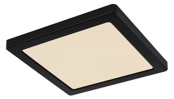 Globo 12380-18B - Plafoniera LED LASSE LED/18W/230V 3000/4000/6500K nero