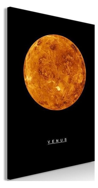 Quadro Venus (1 Part) Vertical