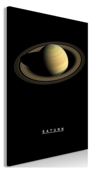 Quadro Saturn (1 Part) Vertical