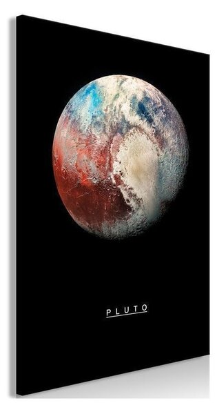 Quadro Pluto (1 Part) Vertical