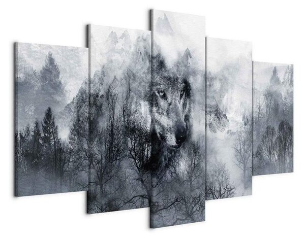 Quadro Mountain Predator (5 Parts) Wide