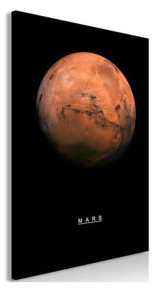 Quadro Mars (1 Part) Vertical