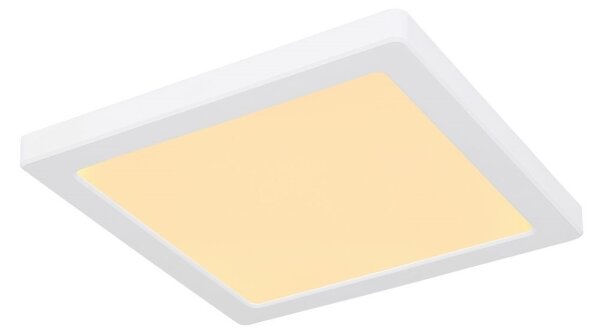 Globo 12380-18W - Plafoniera LED LASSE LED/18W/230V 3000/4000/6500K bianco