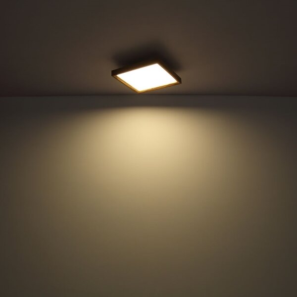 Globo 41595D2 - Plafoniera LED CINDERELA LED/24W/230V 45cm 2700/4500/6500K