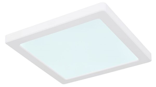Globo 12380-18W - Plafoniera LED LASSE LED/18W/230V 3000/4000/6500K bianco