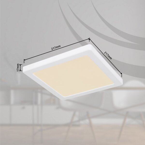Globo 12380-18W - Plafoniera LED LASSE LED/18W/230V 3000/4000/6500K bianco