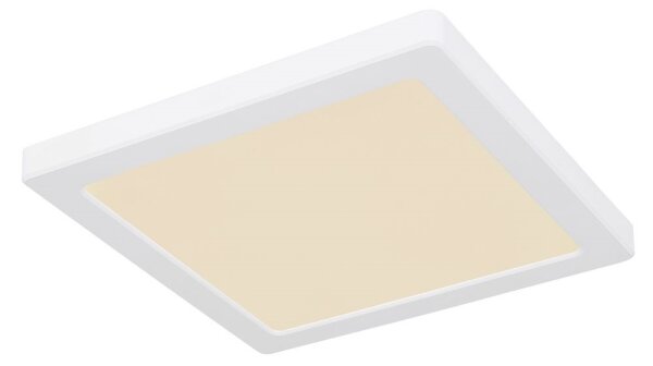 Globo 12380-18W - Plafoniera LED LASSE LED/18W/230V 3000/4000/6500K bianco