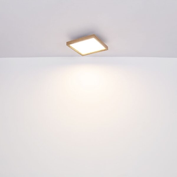 Globo 41595D2 - Plafoniera LED CINDERELA LED/24W/230V 45cm 2700/4500/6500K