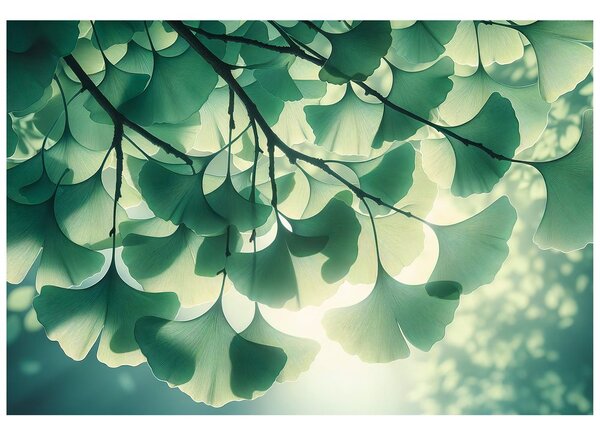 Carta da parati – Foglie di ginkgo alla luce