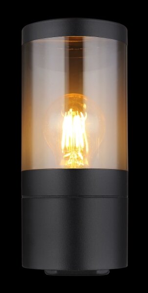 Globo 32014BS - Applique da esterno XELOO 1xE27/60W/230V IP44