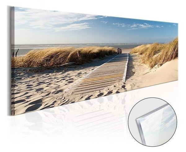 Quadri su vetro acrilico Wild Beach [Glass]