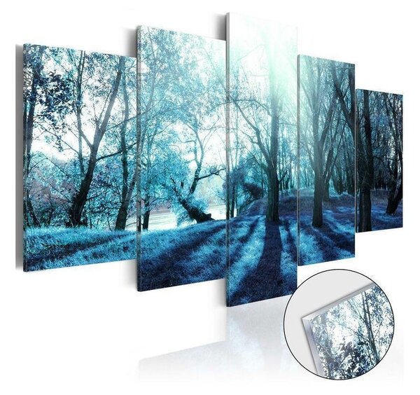 Quadri su vetro acrilico Blue Glade [Glass]