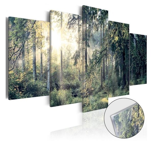 Quadri su vetro acrilico Fairytale Landscape [Glass]