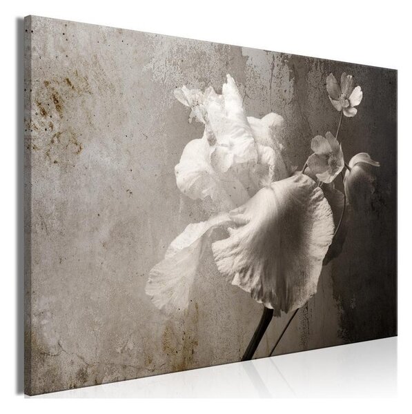 Quadro - Venetian Splendor (1 Part) Wide