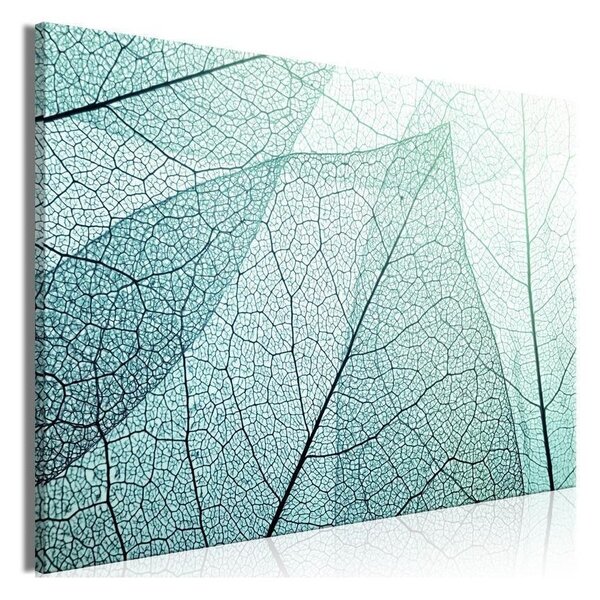 Quadro - Macroflora (1 Part) Wide