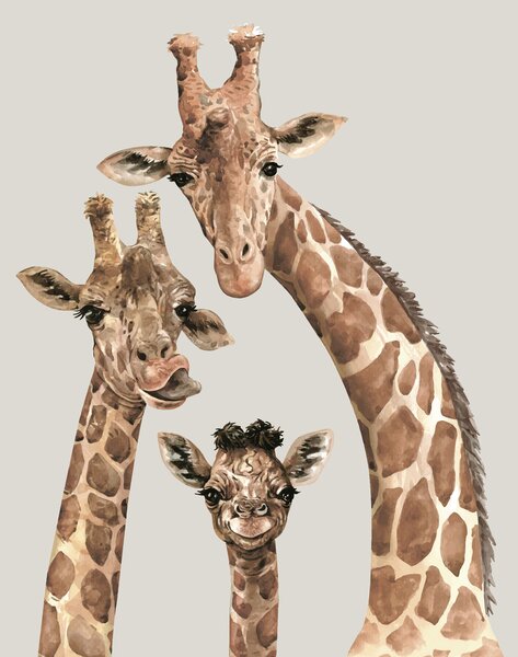 Carta da parati Un'allegra famiglia di giraffe, Carta da parati per gli adolescenti, u98525 : Uwalls.it