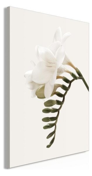Quadro - Spring Headdress (1 Part) Vertical