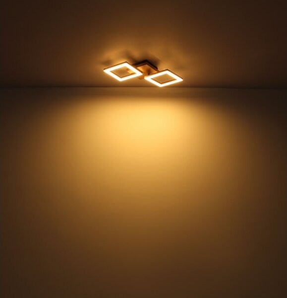 Globo 67280-30 - Lampadario LED a plafone KERRY LED/30W/230V
