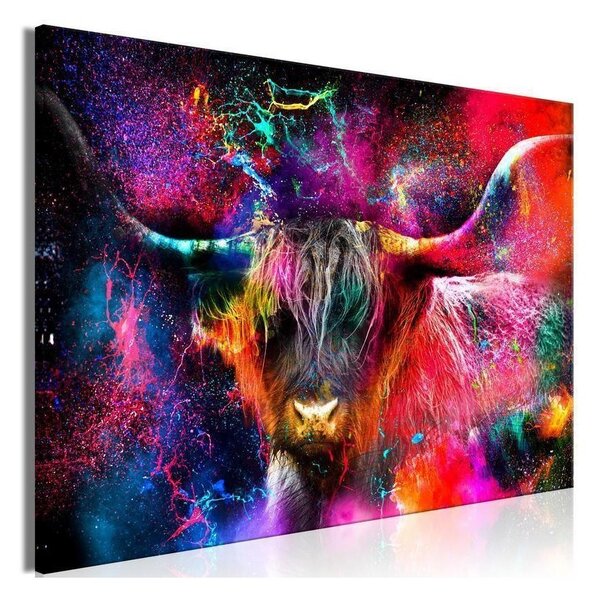 Quadro - Colorful Bull (1 Part) Wide