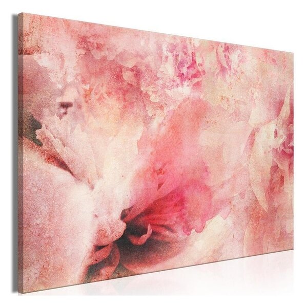 Quadro - Pink Etude (1 Part) Wide
