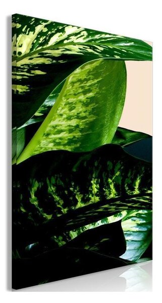 Quadro - Dieffenbachia (1 Part) Vertical