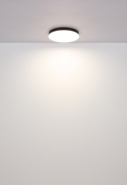 Globo 12384-24W - Plafoniera LED MATTHEW LED/24W/230V bianco