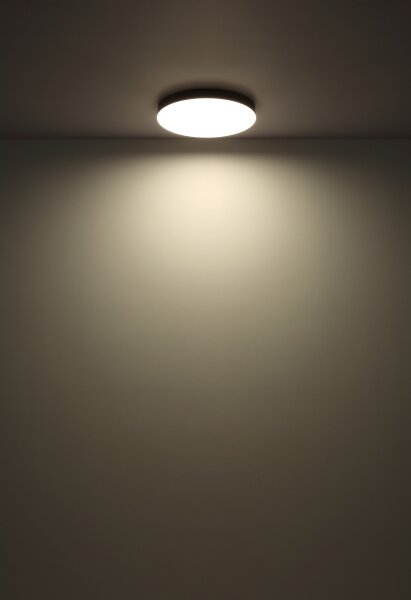 Globo 12384-24W - Plafoniera LED MATTHEW LED/24W/230V bianco