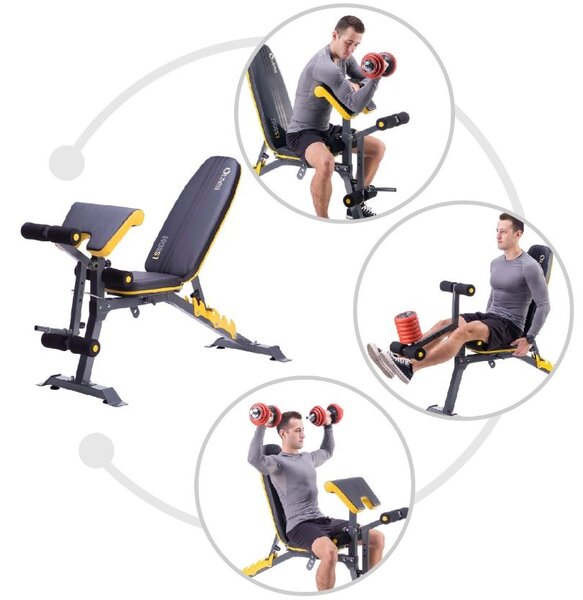 Panca fitness 6 in 1 con Scott arm Curl incluso e carico pesi