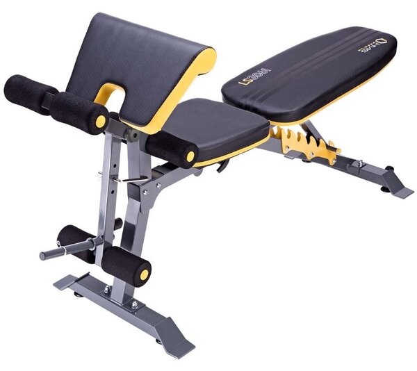 Panca fitness 6 in 1 con Scott arm Curl incluso e carico pesi