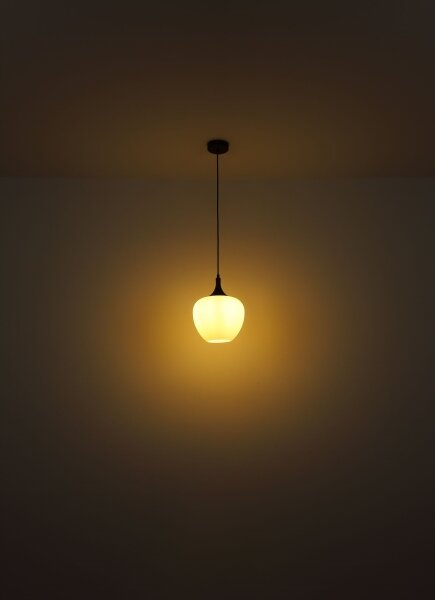 Globo 15548H1C - Lampadario a sospensione con filo MAXY 1xE27/60W/230V bianco/marrone