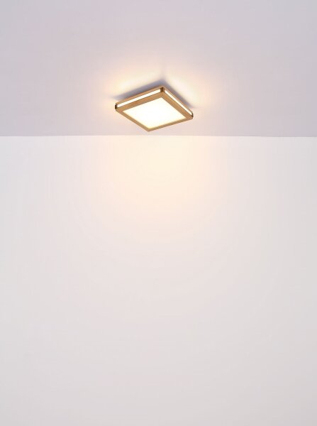 Globo 41589D1 - Plafoniera LED CARLA LED/12W/230V 30x30 cm