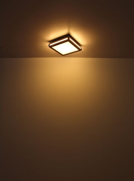 Globo 41589D1 - Plafoniera LED CARLA LED/12W/230V 30x30 cm