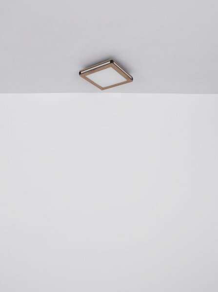 Globo 41589D1 - Plafoniera LED CARLA LED/12W/230V 30x30 cm