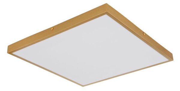 Globo 12382-30 - Plafoniera LED TIBEY LED/30W/230V 45x45 cm