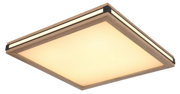 Globo 41589D2 - Plafoniera LED CARLA LED/24W/230V 45x45 cm