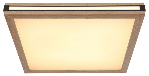 Globo 41589D2 - Plafoniera LED CARLA LED/24W/230V 45x45 cm