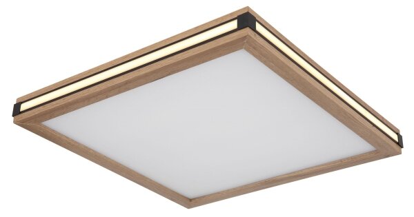 Globo 41589D2 - Plafoniera LED CARLA LED/24W/230V 45x45 cm