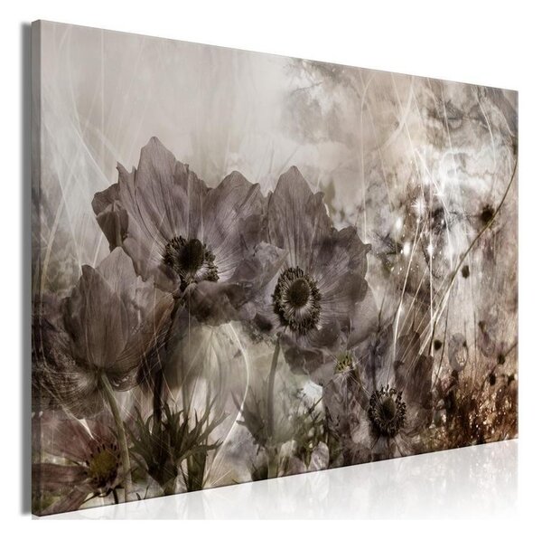 Quadro - Anemones in Sepia (1 Part) Wide