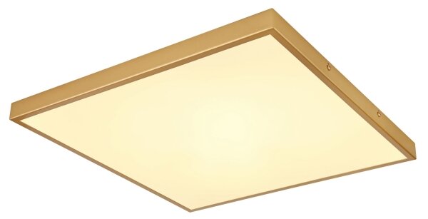 Globo 12382-30 - Plafoniera LED TIBEY LED/30W/230V 45x45 cm