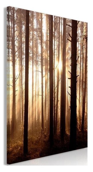 Quadro - Forest Paths (1 Part) Vertical