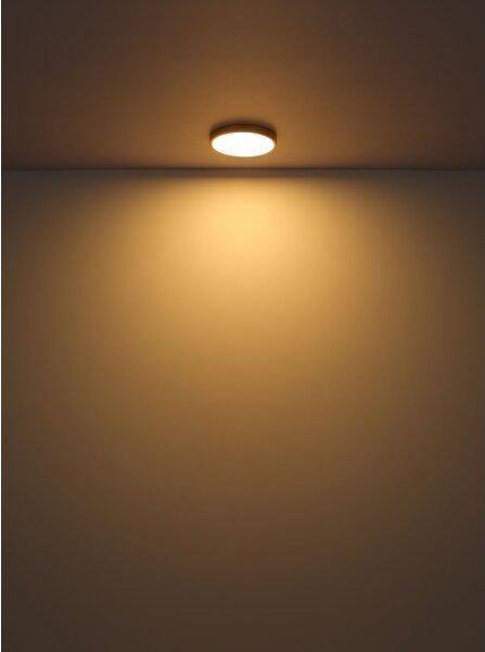 Globo 12381-22 - Plafoniera LED TIBEY LED/22W/230V diametro 35 cm