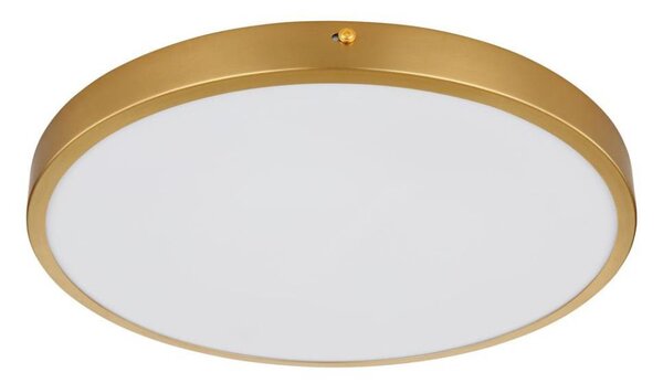 Globo 12381-22 - Plafoniera LED TIBEY LED/22W/230V diametro 35 cm