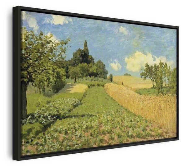 Quadro - The Cornfield (near Argenteuil) (Alfred Sisley)