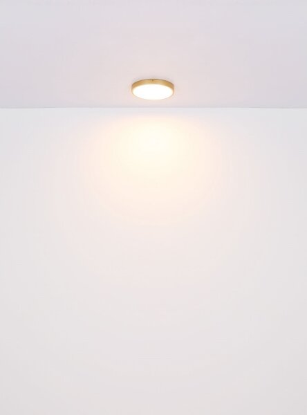 Globo 12381-22 - Plafoniera LED TIBEY LED/22W/230V diametro 35 cm