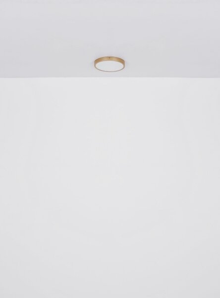 Globo 12381-22 - Plafoniera LED TIBEY LED/22W/230V diametro 35 cm